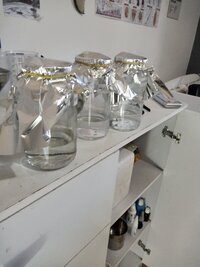 IMG_20250709_125812946.jpg