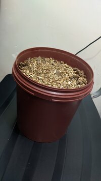 PXL_20250818_210642528.jpg