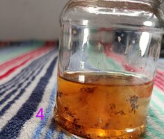 IMG_20250821_105914~3.jpg
