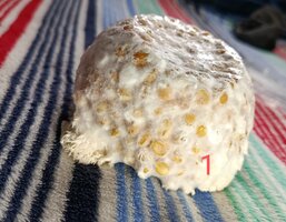 IMG_20250821_105429~3.jpg