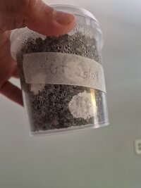 GT-25-09-2025.jpeg