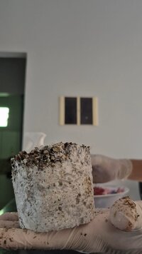 WhatsApp Image 2025-10-28 at 12.53.24.jpeg