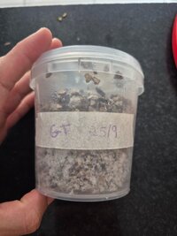 Há alguma solução?