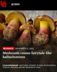 PS cogus1.jpg PS cogus1.jpg