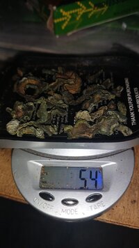 5g de cacto san pedro seco.jpeg