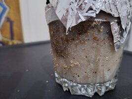 WhatsApp Image 2026-04-07 at 18.49.07.jpeg