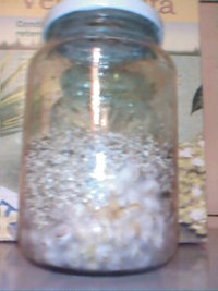 Costa Rica, com vermiculita.jpg