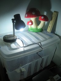 foto9.jpg