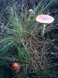 19-04-2008_1729.jpg