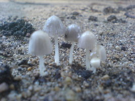DSC01449.JPG