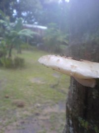 DSC01470.JPG