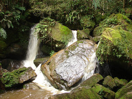 389683587_ca0f5c3845.jpg