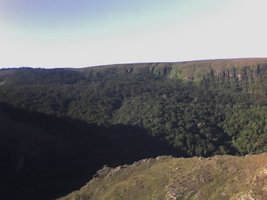 16-03-08_1710.jpg