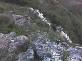 16-03-08_1724.jpg