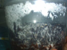 S3010038.JPG