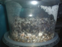 S3010043 (800 x 600).jpg