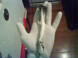 DSC01103.JPG
