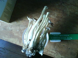 DSC01120.JPG