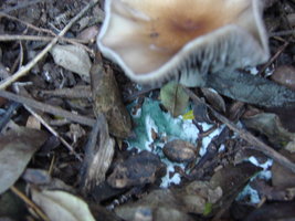 DSC01500.JPG