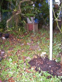 100_8924.JPG