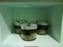 DSC00189.JPG
