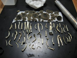 2008-06-14 - 21h09min.jpg