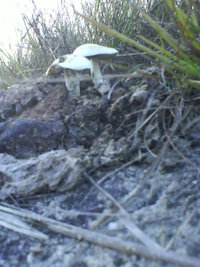 DSC01496.JPG