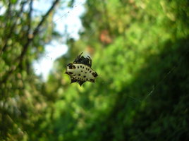 DSCN4868.JPG
