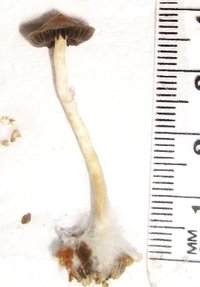 S6301836.JPG