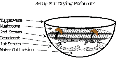DRY-3.GIF