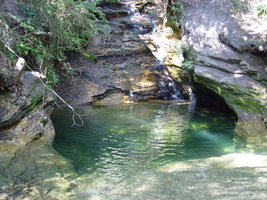 DSC09483.JPG