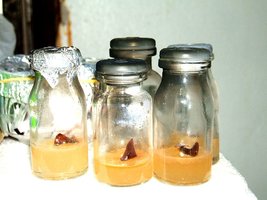 DSCF2188.JPG