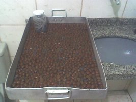 argila expandida de molho.jpg