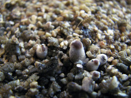 IMG_4277 copy.jpg