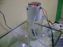 cooler 6.jpg