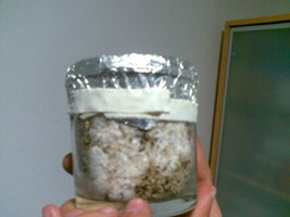 12082008(003).jpg