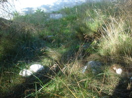 DSC01385.JPG