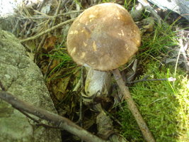 DSC01391.JPG