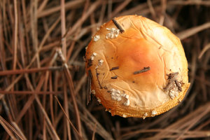 img3.JPG