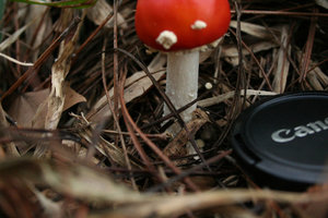 img10.JPG