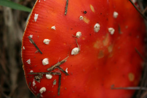 img7.JPG