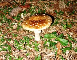 DSC03919.JPG