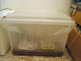 Terrário funcionando.JPG