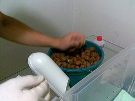 30082008(002).jpg