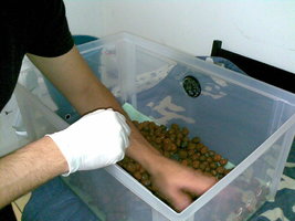 30082008(003).jpg