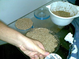 30082008(018).jpg
