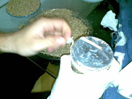 30082008(019).jpg