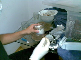 30082008(031).jpg