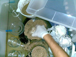 30082008(034).jpg