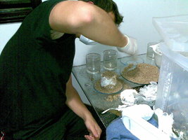30082008(037).jpg
